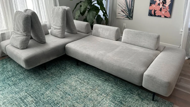 A clean living room with a spotless carpet and freshly cleaned sofa, highlighting the results of professional carpet and upholstery cleaning services.
