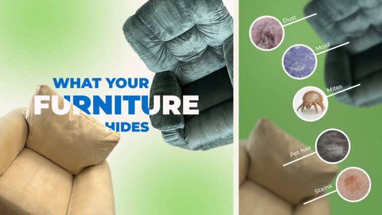 Image showing what your furniture hides: dust, stains, mold, pet hair, and dust mites. House carpet cleaning near me can help remove these hidden dangers
