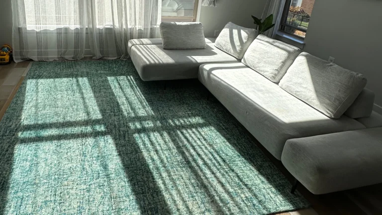 Clean sofa and carpet in a sunlit living room, showing the value of typical carpet cleaning cost for a fresh home environment.