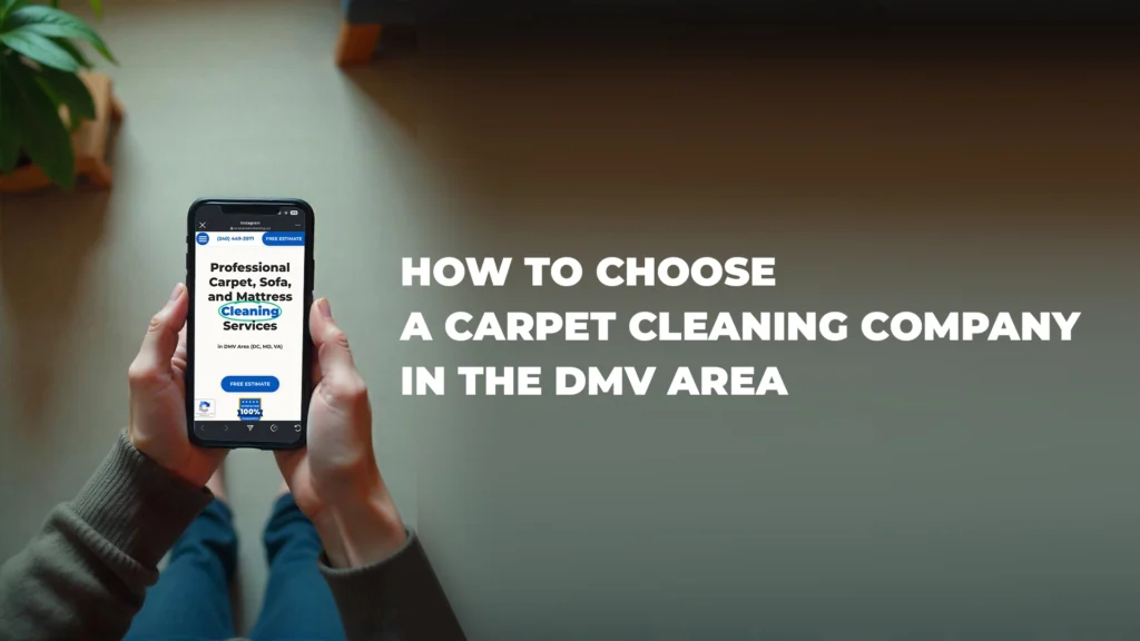 Person holding a phone with a cleaning service website, exploring options for how to choose a carpet cleaning company in the DMV area.