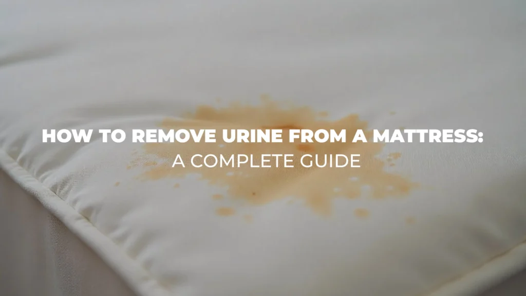 Stained mattress showing a urine spot, highlighting effective cleaning tips and affordable solutions like low cost carpet cleaning services